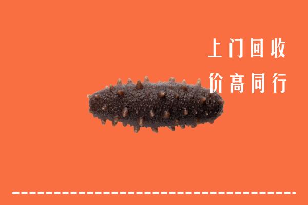 锦州高价回收海参